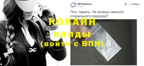 молекула духа Елизово