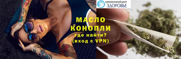 гидропоника Елабуга