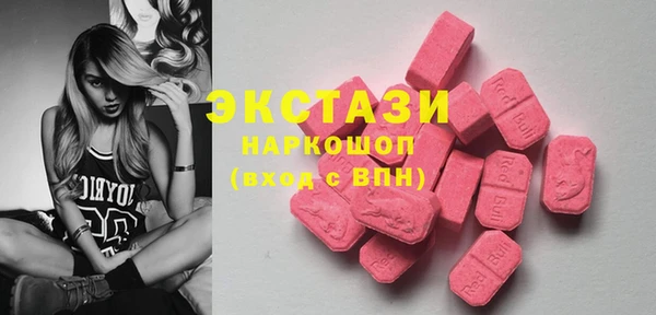гашик Ельня
