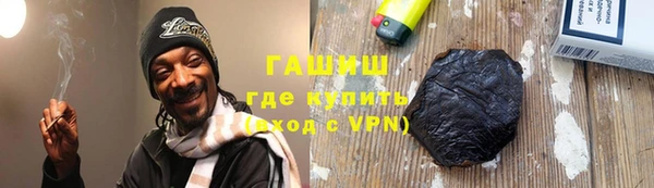 гашик Ельня