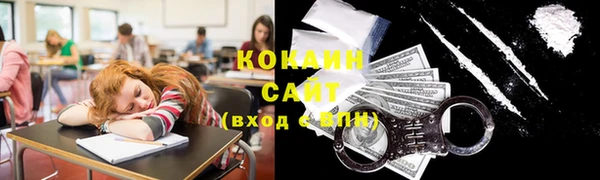 гашик Ельня