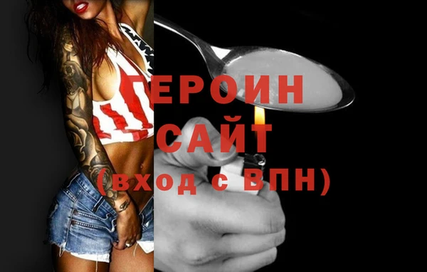гашик Ельня