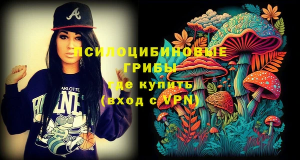 гидропоника Елабуга