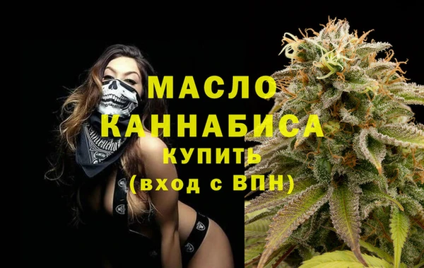 гашик Ельня