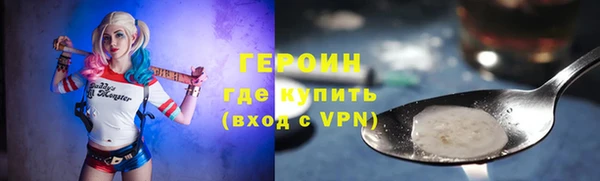 гашик Ельня