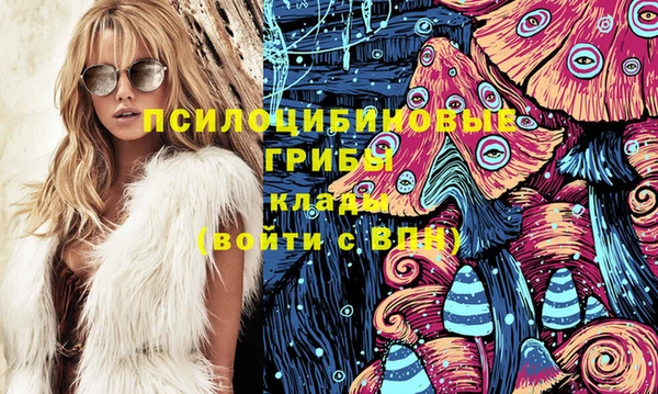 гидропоника Елабуга