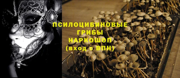гидропоника Елабуга
