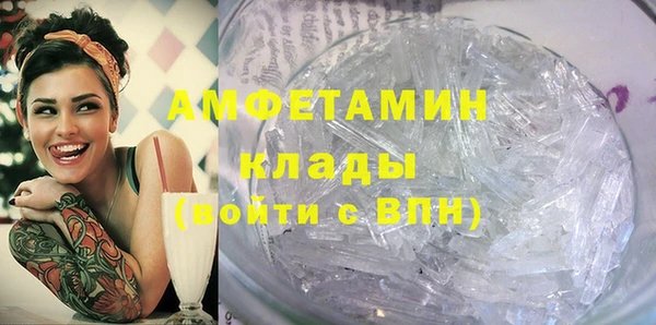 гашик Ельня