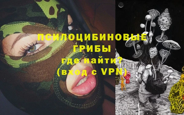 гашик Ельня