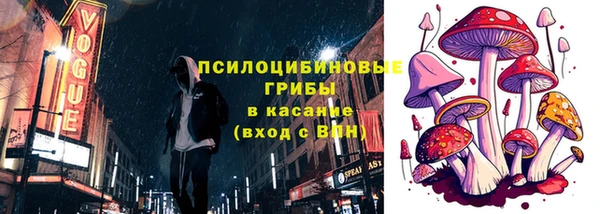 гидропоника Елабуга