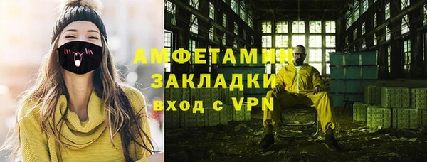 гашик Ельня