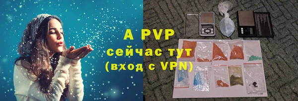 гашик Ельня