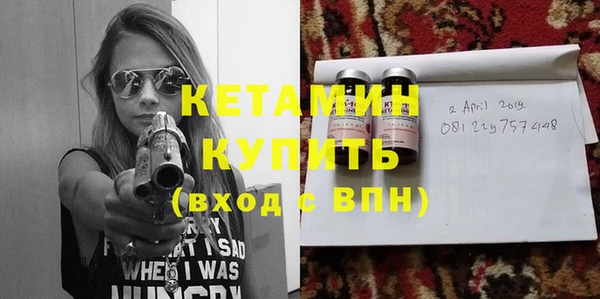 гашик Ельня
