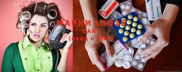 гашик Ельня